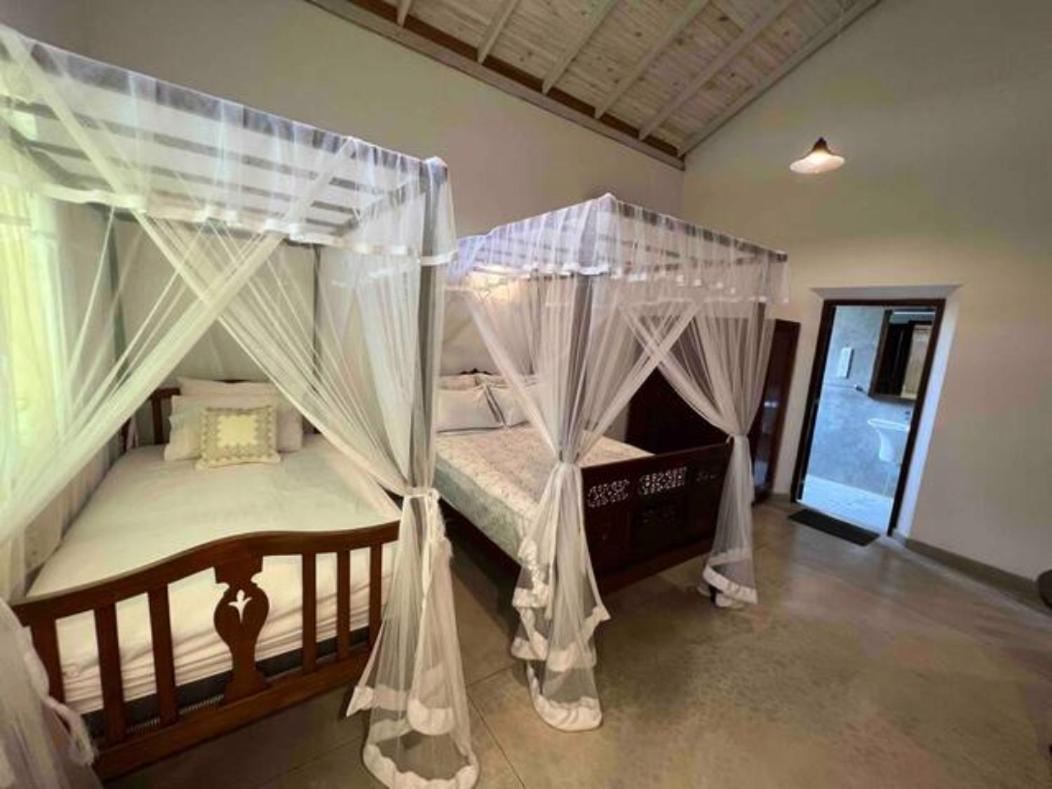 Wattala Villa- The Guardian Bungalow Exterior photo